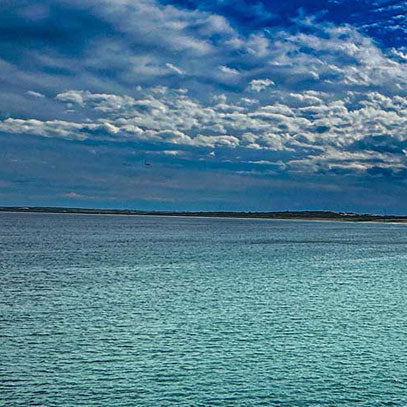 Naloxone Hydrochloride, Dihydrate, USP