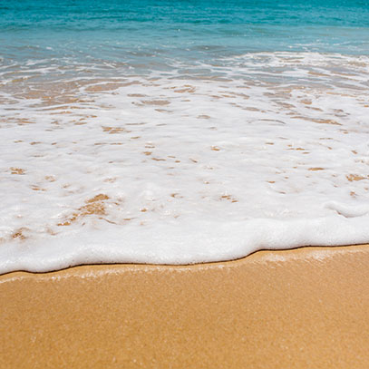 Belladonna Leaf Extract 10:1 (gram)