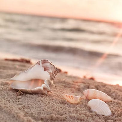 Sulfacetamide Sodium, Monohydrate, USP