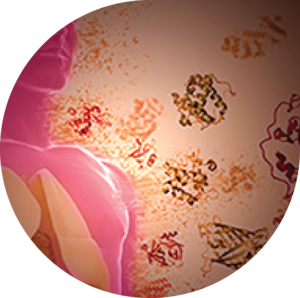 Sodium Chloride, USP, EP, bioCERTIFIED (TM)